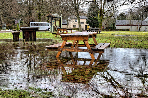 strontium chemistry science water puddle bench reflection trees grass bus scotland february winter