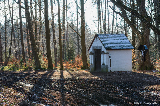 Chapel in the woods.