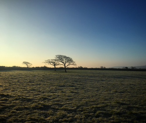 53/365. Early | by Surfchild.