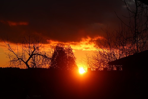sunset sky tree cloud slunce