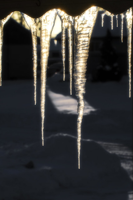 Icicles In The Morning Sunlight. Windsor, ON.
