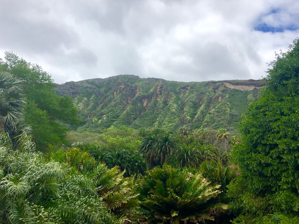 Picture From The Koko Crater Botanical Garden This Is A Pi Flickr