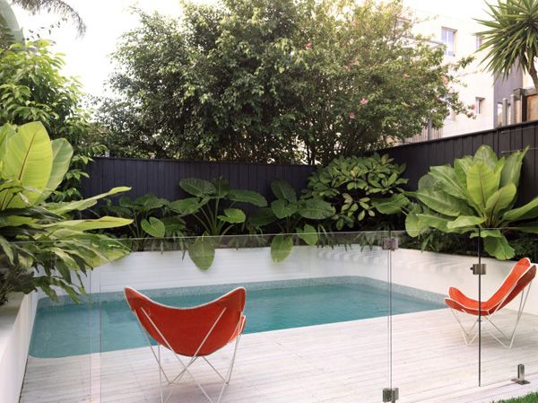 Swimming Pool Ideas : Paddington Terrace House-Luigi Rosselli Architects-15-1 Kindesign