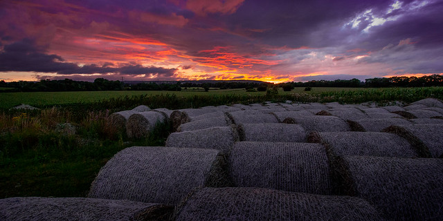 Hay bales just after sunset, near Wrexham, Wales. UK.