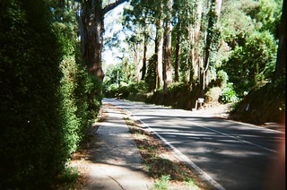 Mount Dandenong Tourist Road | Photographed using the Hanime… | Flickr