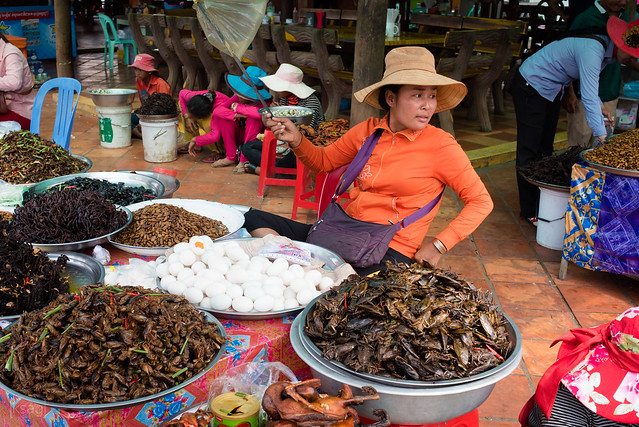 Lady Selling Insects, Skuon, Cambodia