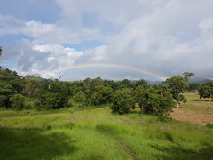 Regenbogen über Groß-Simbabwe