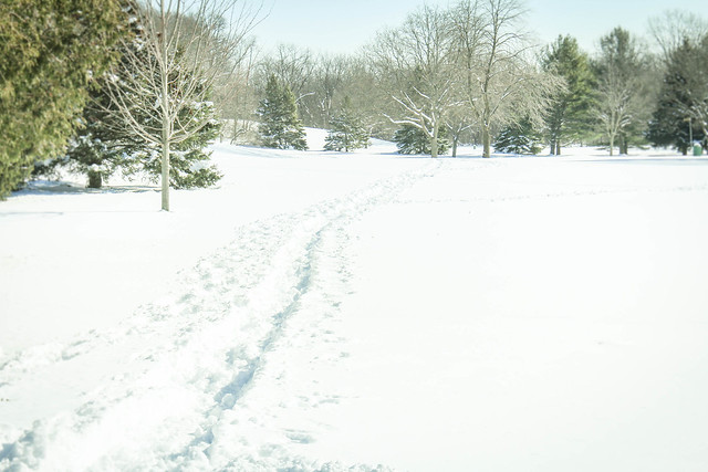 Making tracks on fresh snow