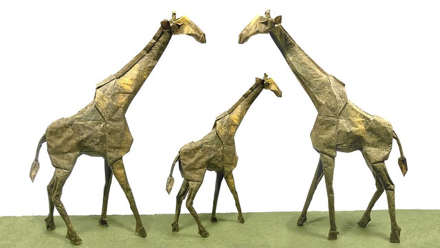 Giraffe - Shuki Kato