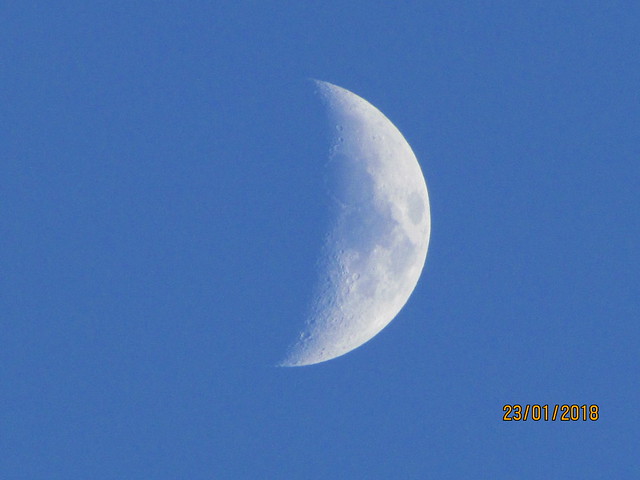 Early evening moon.