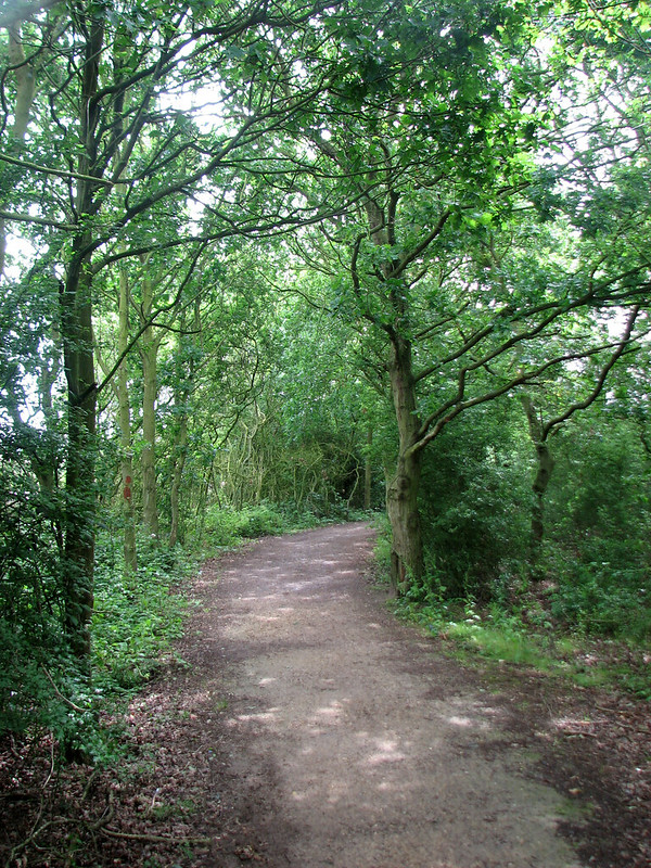 Path beside the river Colne near Wivenhoe