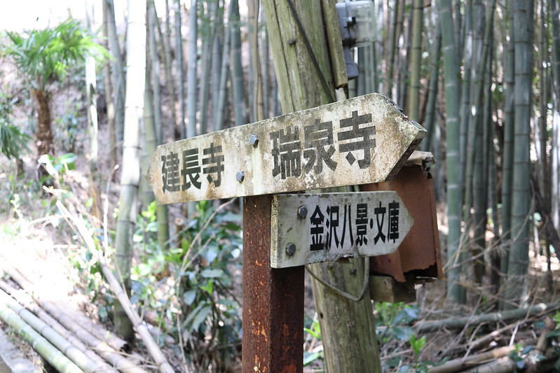 鎌倉 天園ハイキングコース