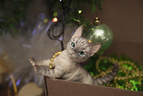 HNY2018!!! | HNY2018!!! | Anna Oks | Flickr