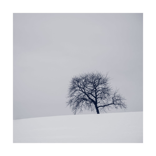 schnee snow landscape minimalism nikon sigma sigmalens baum tree minimalistic
