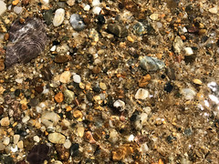 Hidden Herring Cove Beach Rocks