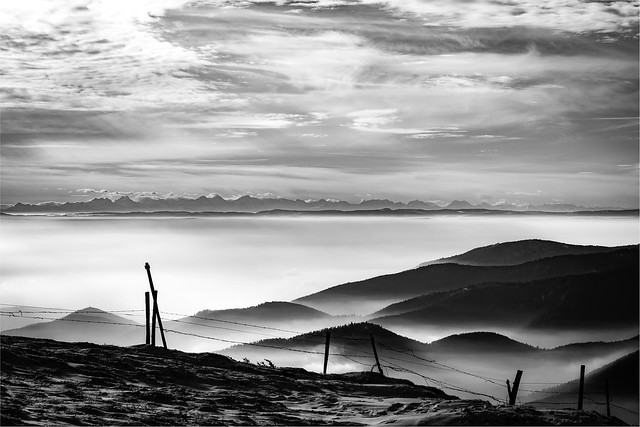 view to the alps from petit ballon/vosges (click to enlarge)