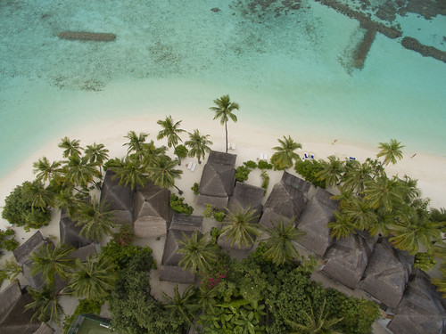 Beach Bungalow - Aerial