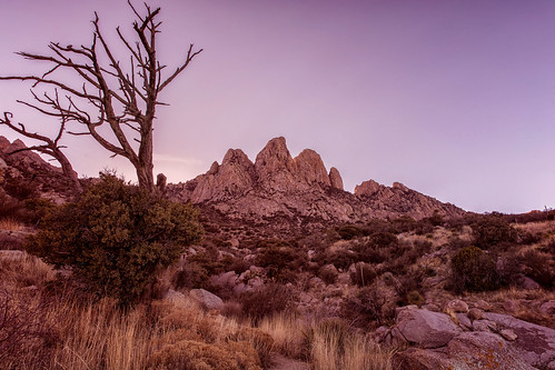 newmexico organmountains tree sunsetcolors grass desert landscape mountains peaks boulders