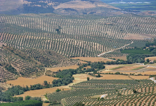 El Valle del río Frailes - al fondo a la derecha, la Vega de Granada