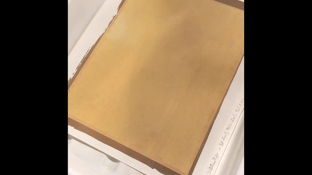 Palladium print on Crane’s platinotype paper
