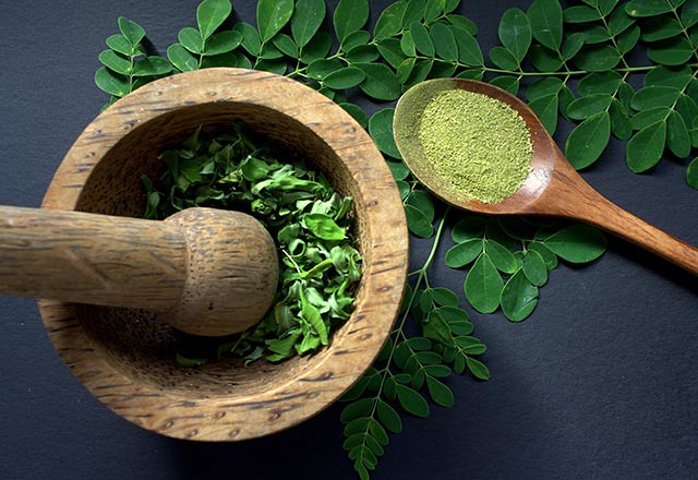 Moringa çayı nedir, moringa çayı nasıl kullanılır?