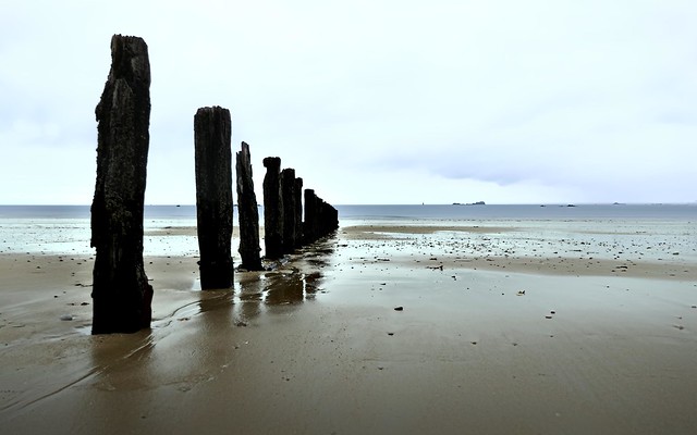 Beach, posts, and horizon; minimalist