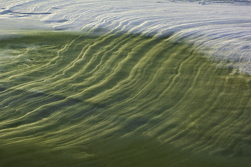tomclarknet tacphotography ice frozen winter river saginaw lines textures details