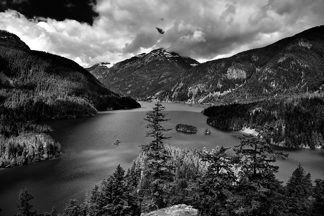 A Day After the Rains, A Beautiful Day (Black & White, North Cascades National Park Service Complex)