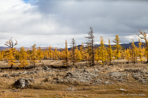 mongolia wtf landscape viewfromthetruck