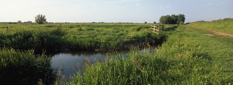 Ouse Washes - Andy Hay (rspb-images.com)