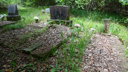 chfstew alabama aldallascounty cemetery