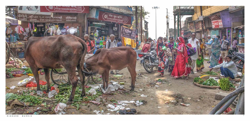 Varanasi, life on the street.