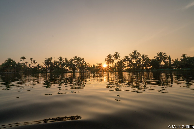 The Sun and the Palms
