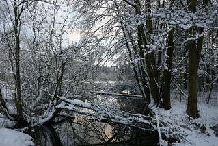 Winter an der Waldnaab. Winter at the Waldnaab.