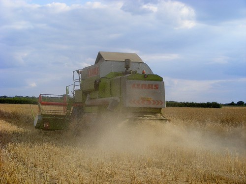Combining Winter Rape | by Forthright James