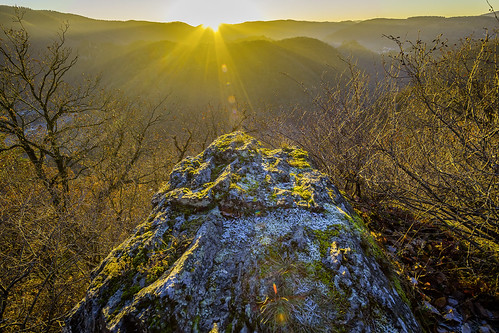DSC4101 by ste.wi, ahr berge wald baum sonnenuntergang wood mountain sunset fels rock yellow ilce6000 samyang12mm germa