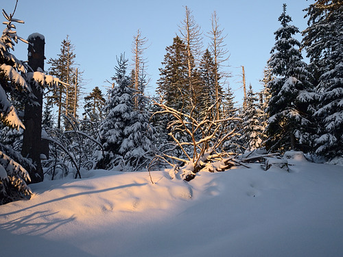 olympusm17mmf18 olympusomdem10 rawtherapee harz urlaub vacation winter oderteich sonnenuntergang sunset trees schnee snow bäume
