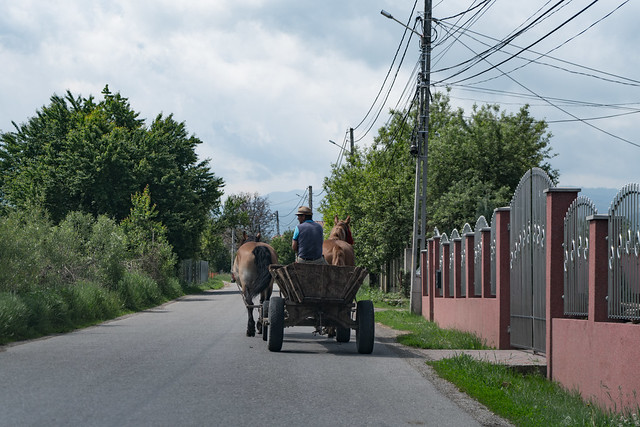 Romanian Hay Cart