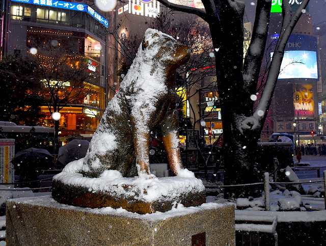 Snow-covered Hachiko in Shibuya