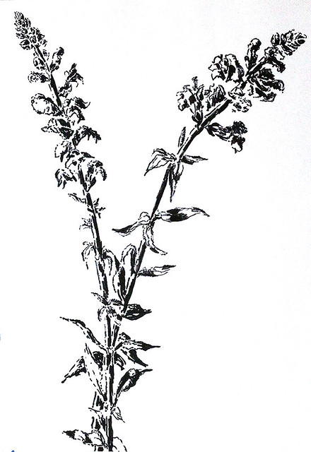 Ένα από τα λουλούδια σχέδια λουλουδιών σε μελάνι μολύβι υδατογραφία μαύρο και άσπρο κάρβουνο σε χαρτί