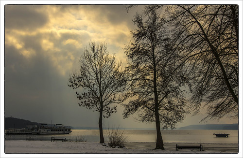 tollense tollensesee neubrandenburg see ufer winter schnee schiff bäume wolken sky