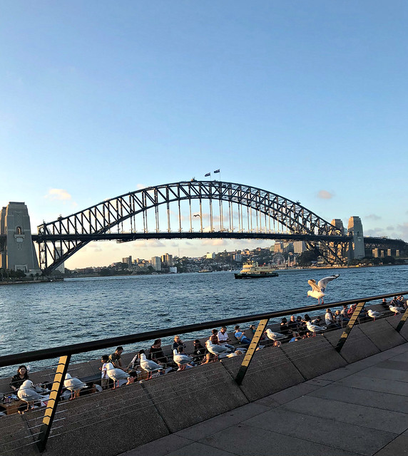 2018 Sydney Harbour Bridge #4