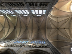 Vaults, Cathédrale Notre-Dame