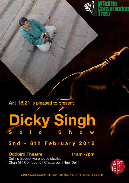 Dicky Singh - Solo Show