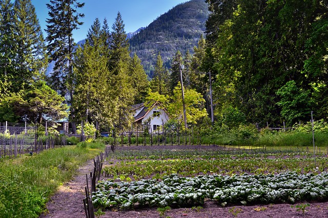 A Small Farm Nestled in the Mountains of Stehekin and the Lake Chelan National Recreation Area