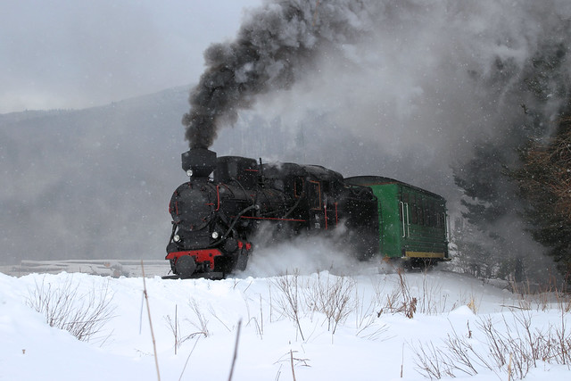 Narrow steam train in Bieszczady (8)