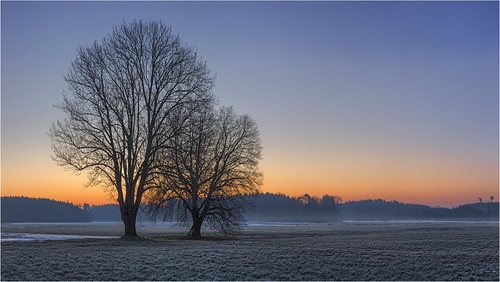 Morgenstund by Robby Metz, In der Reischenau, südlich von Häder.deutschland germany bayern bavaria reischenau augsburgwestliche
