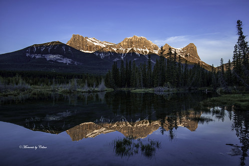 rockies peaks sunrise trees landscape lake landscapes lakes reflections sky scenery scenic snow tree nature morning mirror water canada canmore alberta momentsbycelinecom mountains mountainpeak mountain haling mountainside