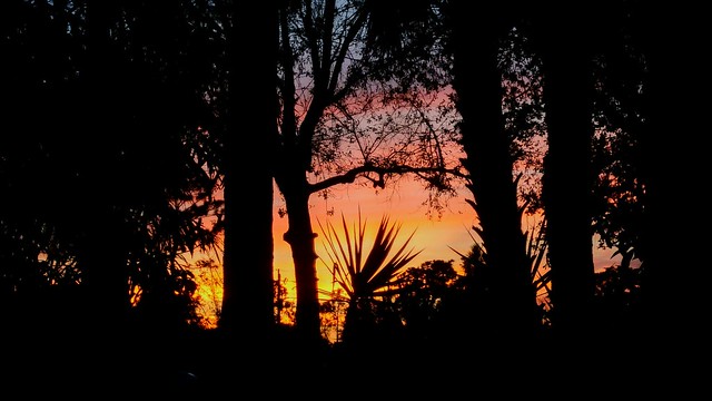 Twilight through the Window!