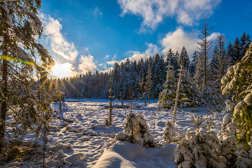 sunset fichtelsee landscape upper franconia germany sun moor snow winter trees spruces